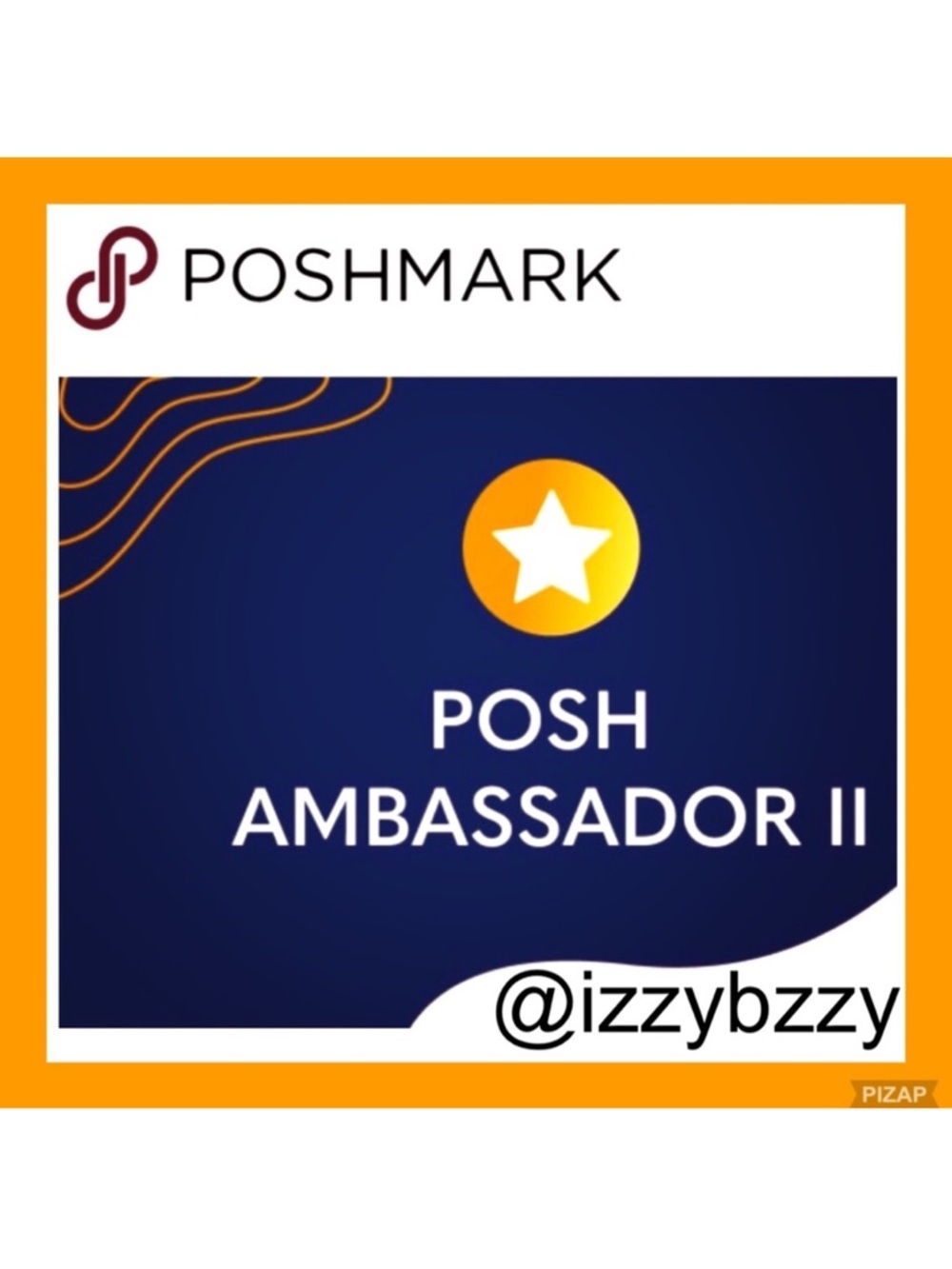 Posh Ambassador II Level